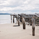 Logging industry relics on the beach at Port Craig