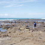 Petrified Forest