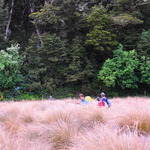 Tussocks and climbs on Green Lake Track