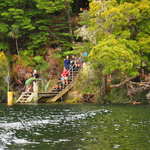 Waiting for Boat at Manapouri